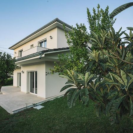 Prestigio Home Alvito  Esterno foto